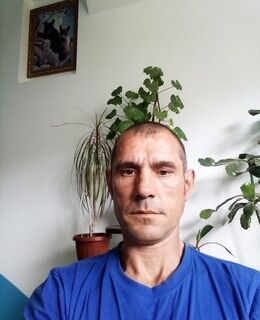 Виктор Садовник